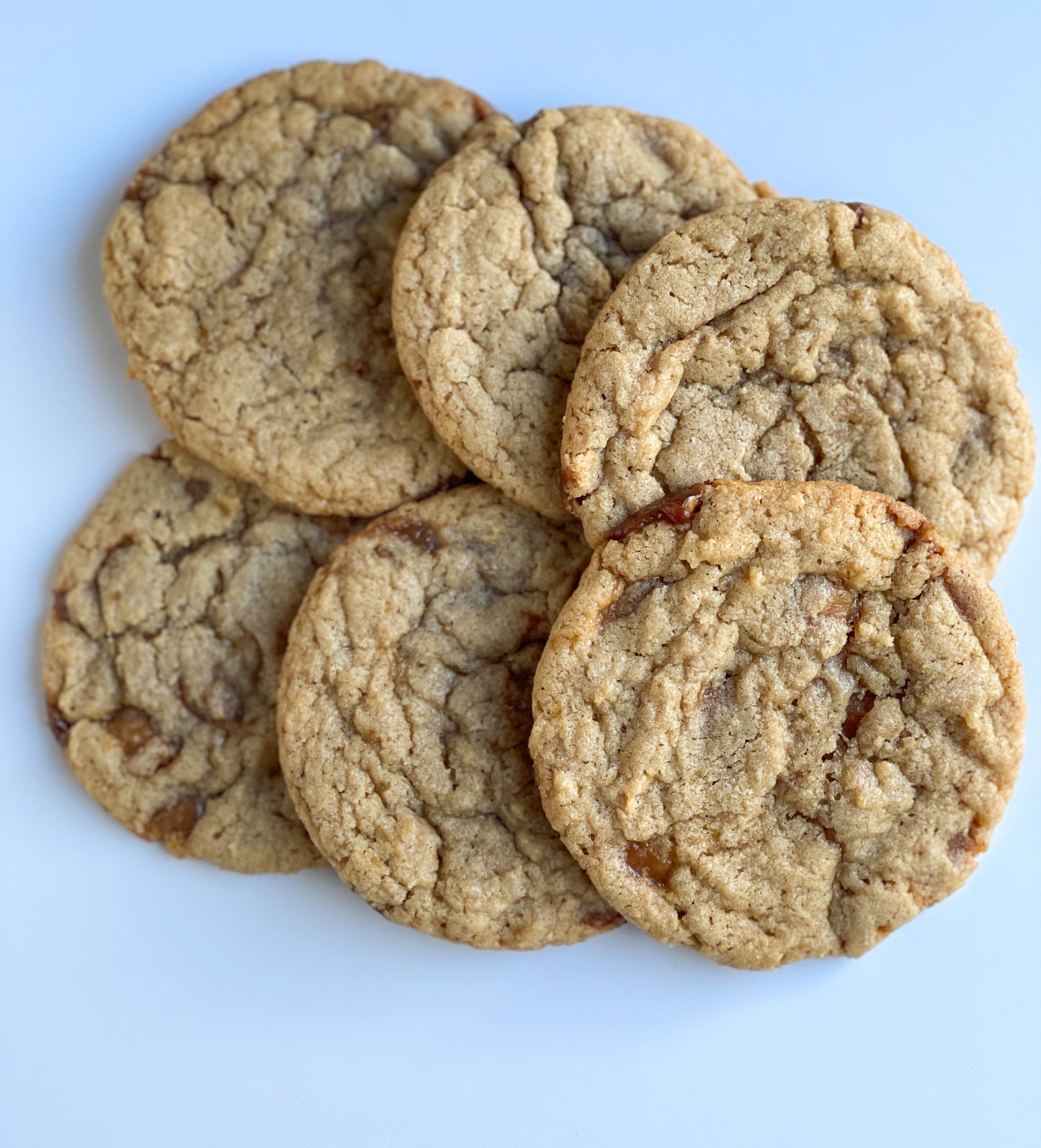 Fall Flavors - Gourmet Cookies